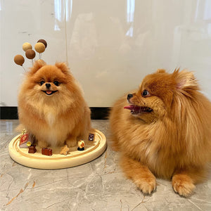 3D Wool Felt Pet Sculpture – Full Body