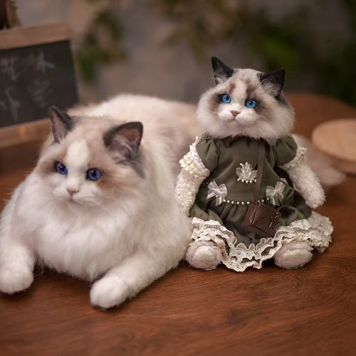 Custom 3D Felt Pet Doll- human body